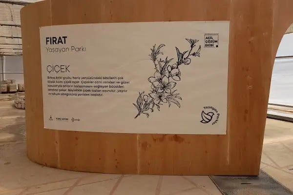 Fırat Parkı - Resim 8