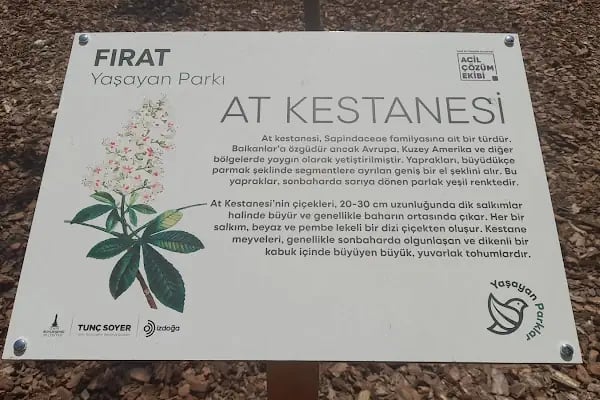 Fırat Parkı - Resim 7