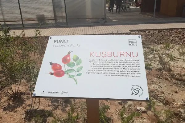 Fırat Parkı - Resim 19