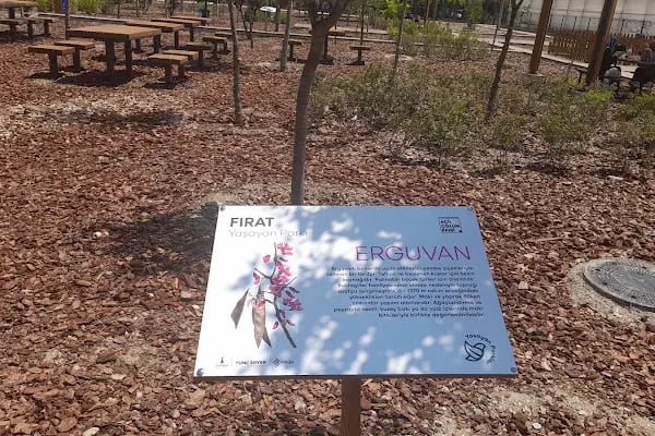 Fırat Parkı - Resim 18