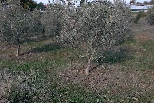 Aksu Hacıaliler Ortaokulu - Resim 5