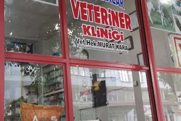 Özkaralar Veteriner Kliniği - Resim 3