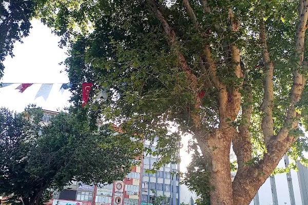 Balıklı Parkı - Resim 9