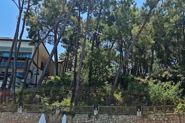 İncekum Orman Kampı - Resim 15