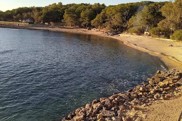İncekum Orman Kampı - Resim 14