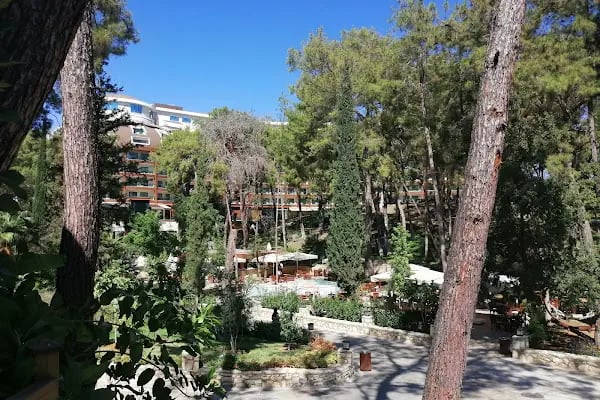 İncekum Orman Kampı - Resim 19