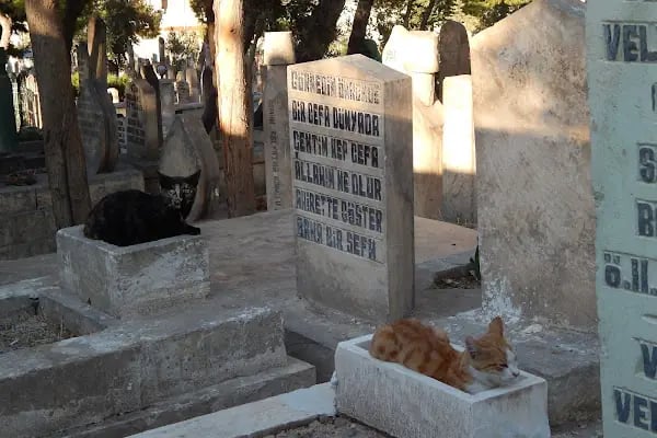 Öncel Aile Mezarlığı - Resim 1