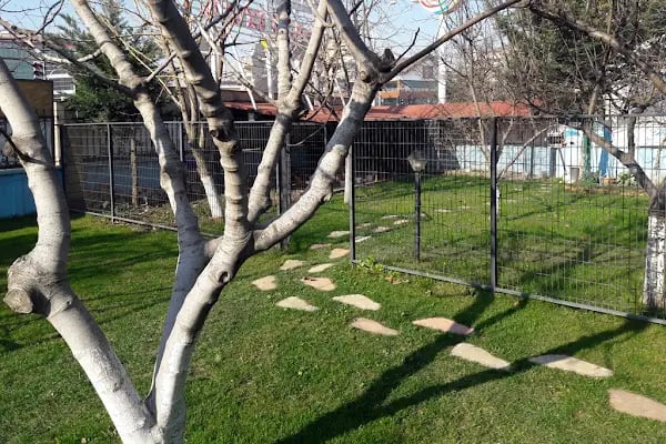 Başarı Parkı Anaokulu - Resim 10