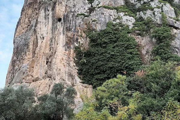 Rock n’ Lake - Resim 19