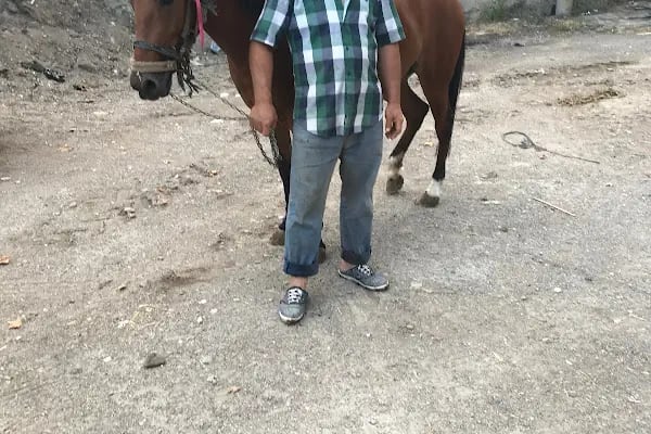 Avcılık Atıcılık Spor Kulubü - Resim 3