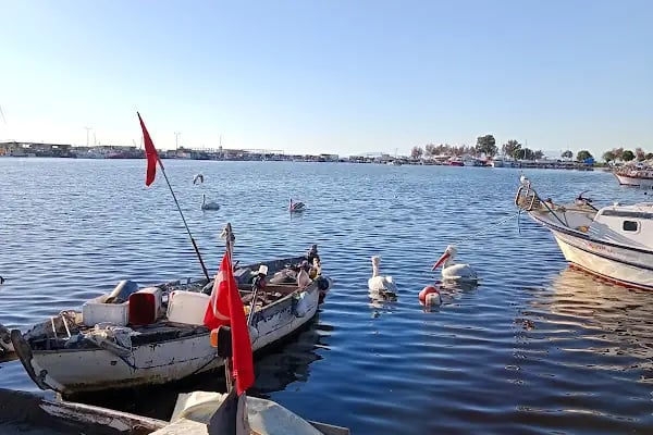 Bostanlı İskele Tramvay Durağı - Resim 14