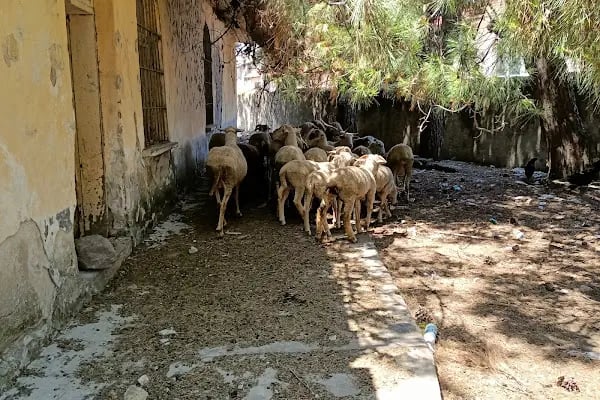 Tarihi Kilise - Resim 4