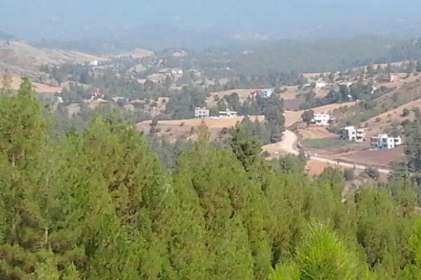 Çukurova Üniversitesi Aladağ Meslek Yüksekokulu - Resim 3