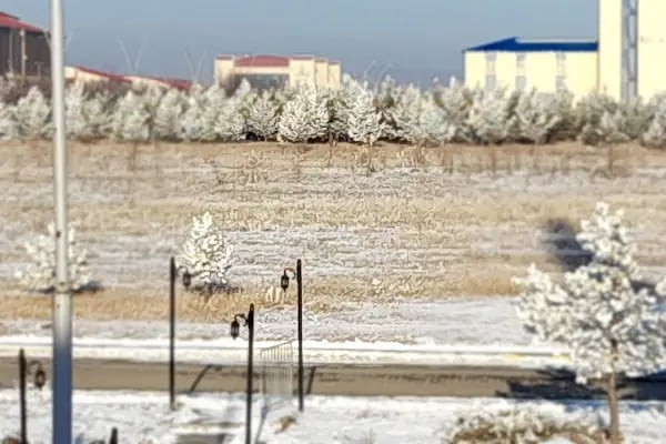 Kafkas Üniversitesi İlahiyat Fakültesi - Resim 5