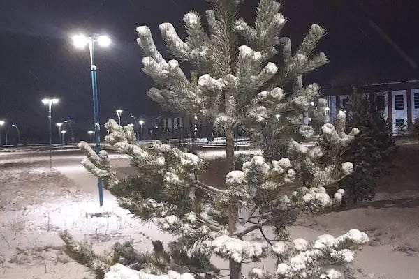 Kafkas Üniversitesi İlahiyat Fakültesi - Resim 9