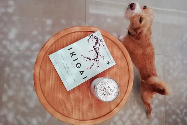 Fika coffeetea - Resim 19