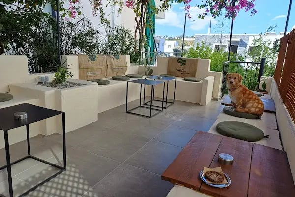 Fika coffeetea - Resim 9