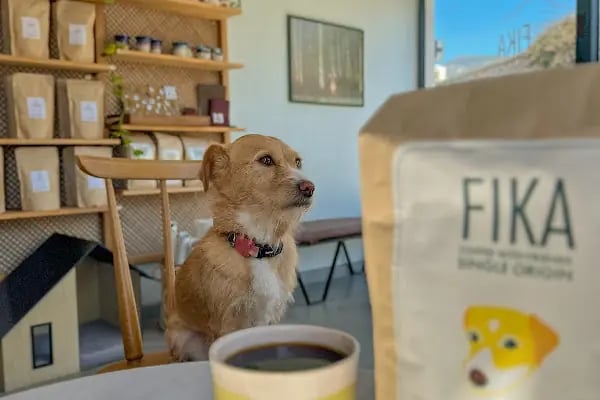 Fika coffeetea - Resim 17