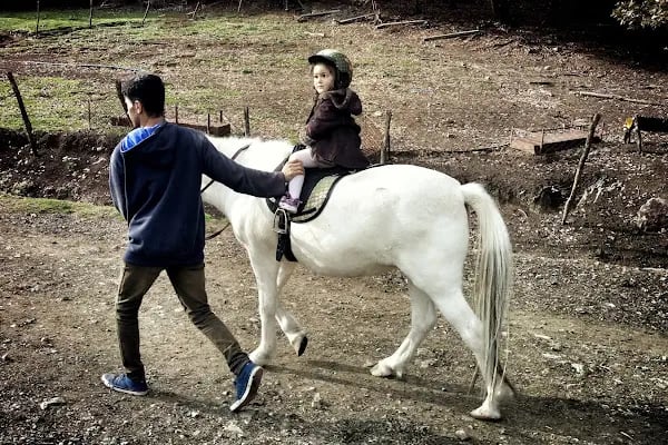 Göçmen’s Ranch - Resim 6