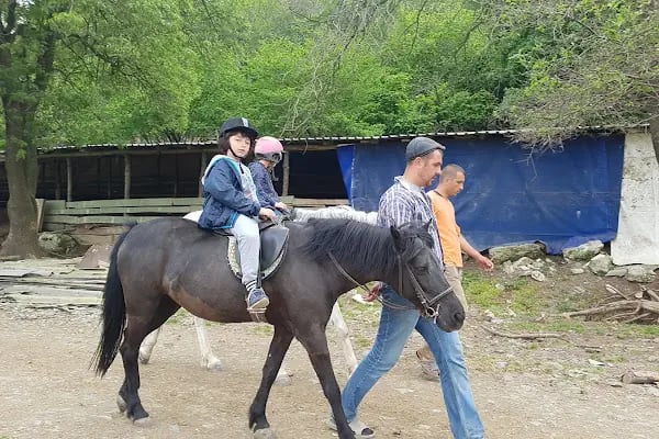 Göçmen’s Ranch - Resim 19