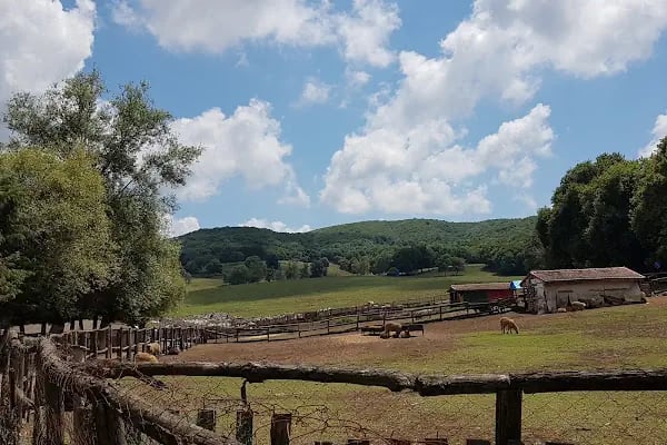Göçmen’s Ranch - Resim 4