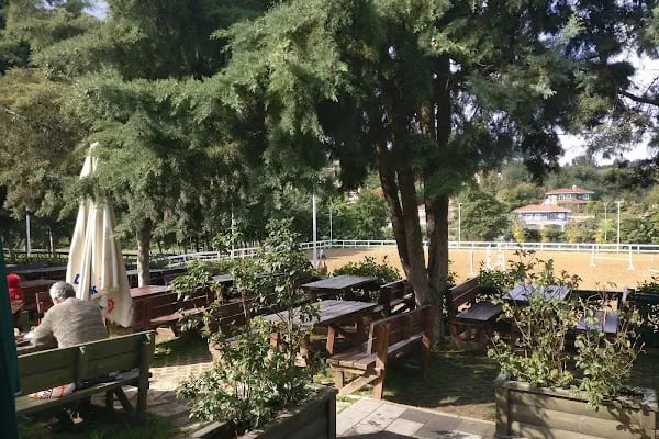 Göçmen’s Ranch - Resim 10