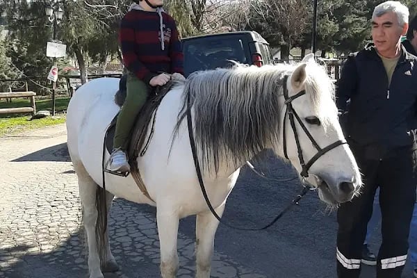 Göçmen’s Ranch - Resim 13