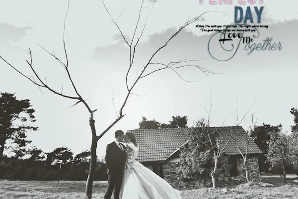 Foto Detay - Resim 16