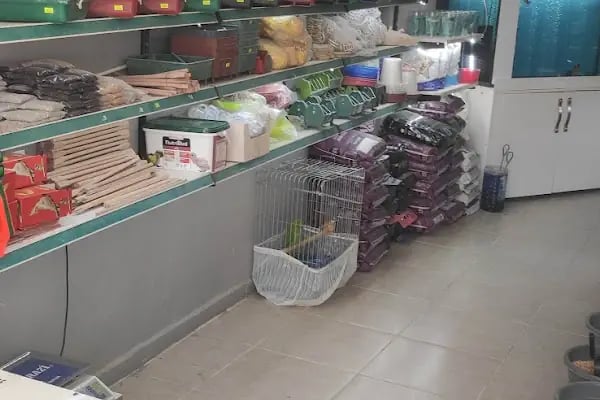 15 TEMMUZ PETSHOP ceylanpinar - Resim 12