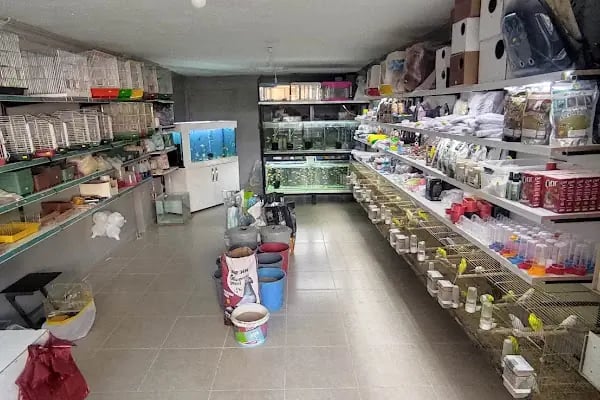 15 TEMMUZ PETSHOP ceylanpinar - Resim 6
