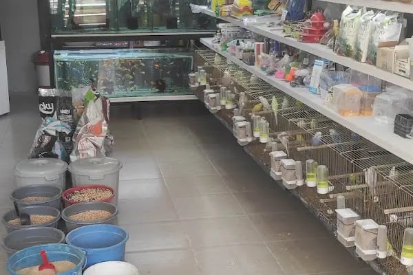 15 TEMMUZ PETSHOP ceylanpinar - Resim 3
