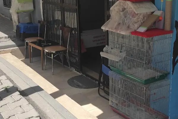 15 TEMMUZ PETSHOP ceylanpinar - Resim 16