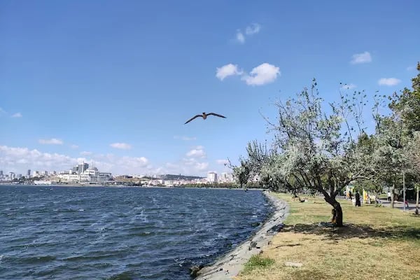 Çekmece parkı - Resim 3