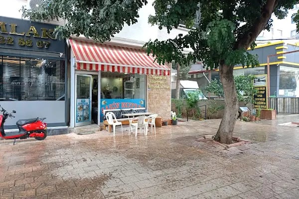 Adana Evden Eve Nakliyat - Şahin Expres - Resim 3