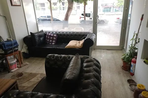 Adana Evden Eve Nakliyat - Şahin Expres - Resim 8