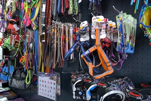 Doğukent Petshop &amp; Akvaryum - Resim 3