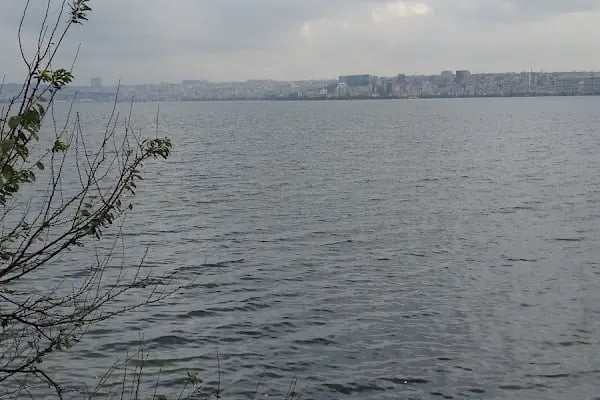 Mustafa Tete Parkı - Resim 3