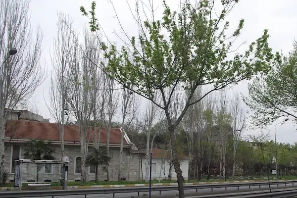 SURP HOVHANNES ERMENİ KİLİSESİ - Resim 5