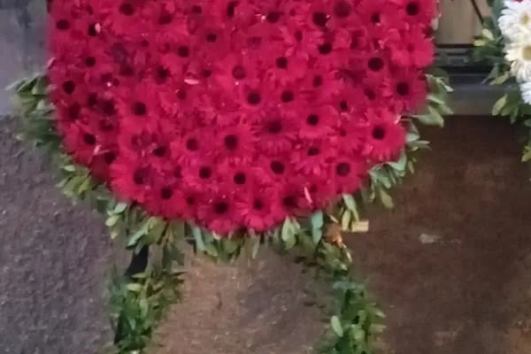 Melisa Çiçekçilik Konya Aziziye Mahallesi Mimar Sinan Sokak No 25/B karatay/Konya - Resim 15