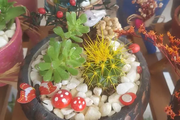 Arden Flower Çiçek - Resim 18