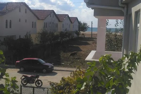 Saray İçi Villaları - Resim 11