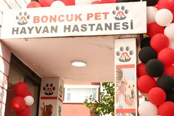 Boncuk Pet Hayvan Hastanesi - Diyarbakır - Resim 4