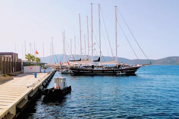 Yesil Marmaris Lines / Bodrum-Kos, Marmaris-Rodos Yunan adaları feribot bileti. Marmaris-Rhodes ferry, Bodrum-Kos ferry. - Resim 7
