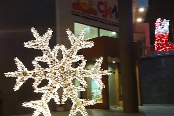 Halis Kurtça Kültür Çocuk Merkezi - Resim 9