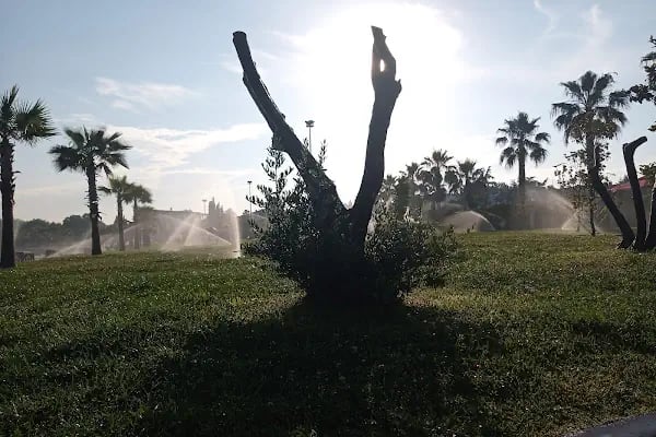 Bayramoğlu sahil park - Resim 8