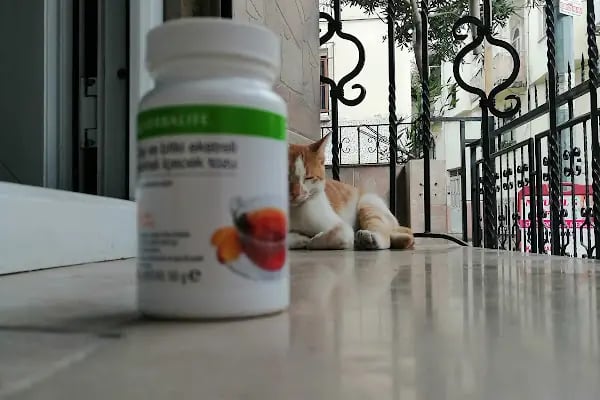 Natural Life Aktif Yaşam ve Kilo Kontrol Merkezi - Resim 10