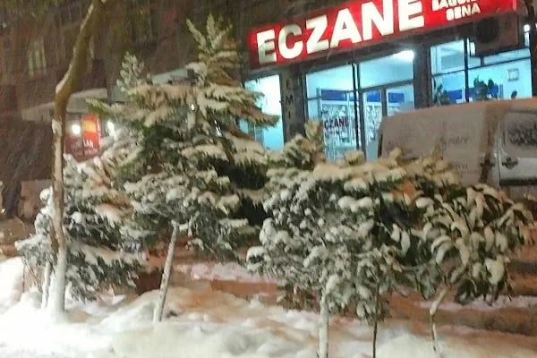 Bağcılarsena Eczanesi - Resim 1
