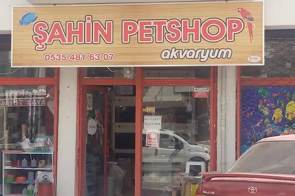 şahin petshop - Resim 5