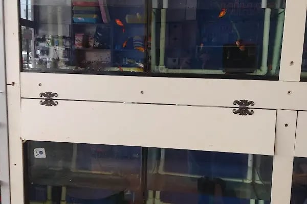 şahin petshop - Resim 12