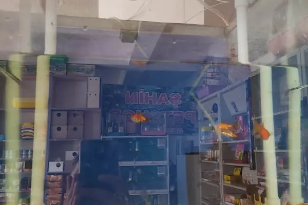 şahin petshop - Resim 19